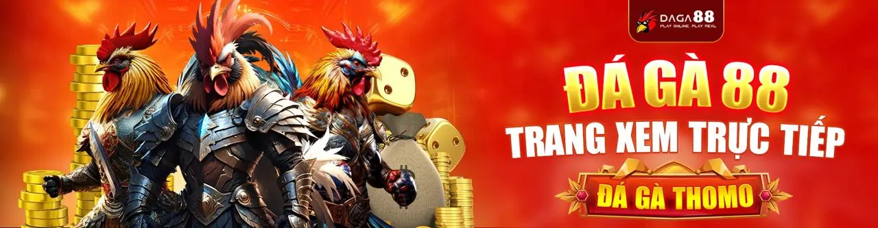 Đá gà trực tuyến 789wi - Đấu trường gà chọi kịch tính